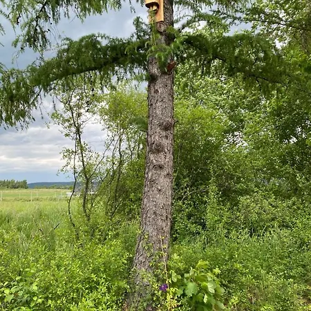 Lawendowy Tp Дом отдыха