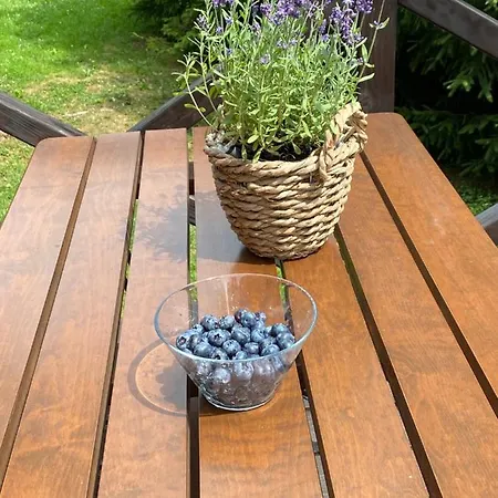 펜션 Lawendowy Tp *