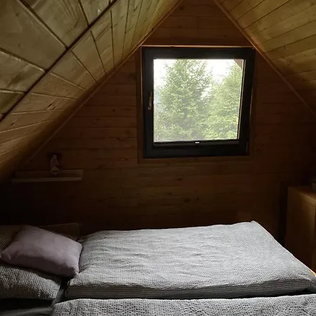 Lawendowy Tp 수코비체