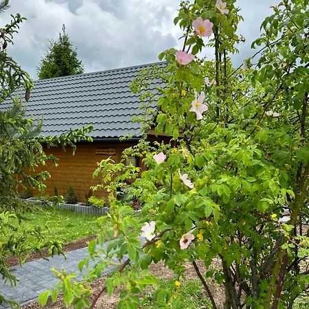 Lawendowy Tp 펜션 수코비체