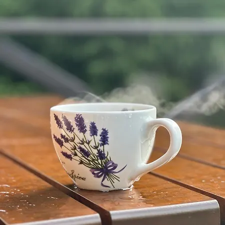 Lawendowy Tp 수코비체