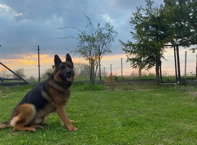 Dom wakacyjny Lawendowy Tp