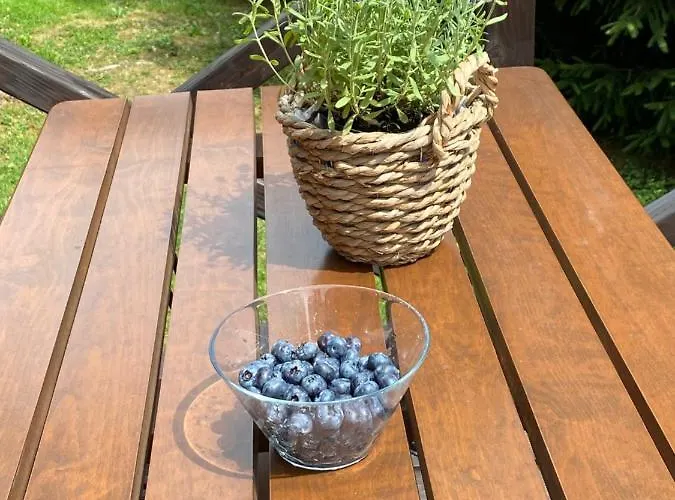 Dom wakacyjny Lawendowy Tp *