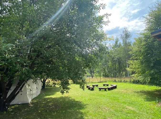 Lawendowy Tp Sułkowice